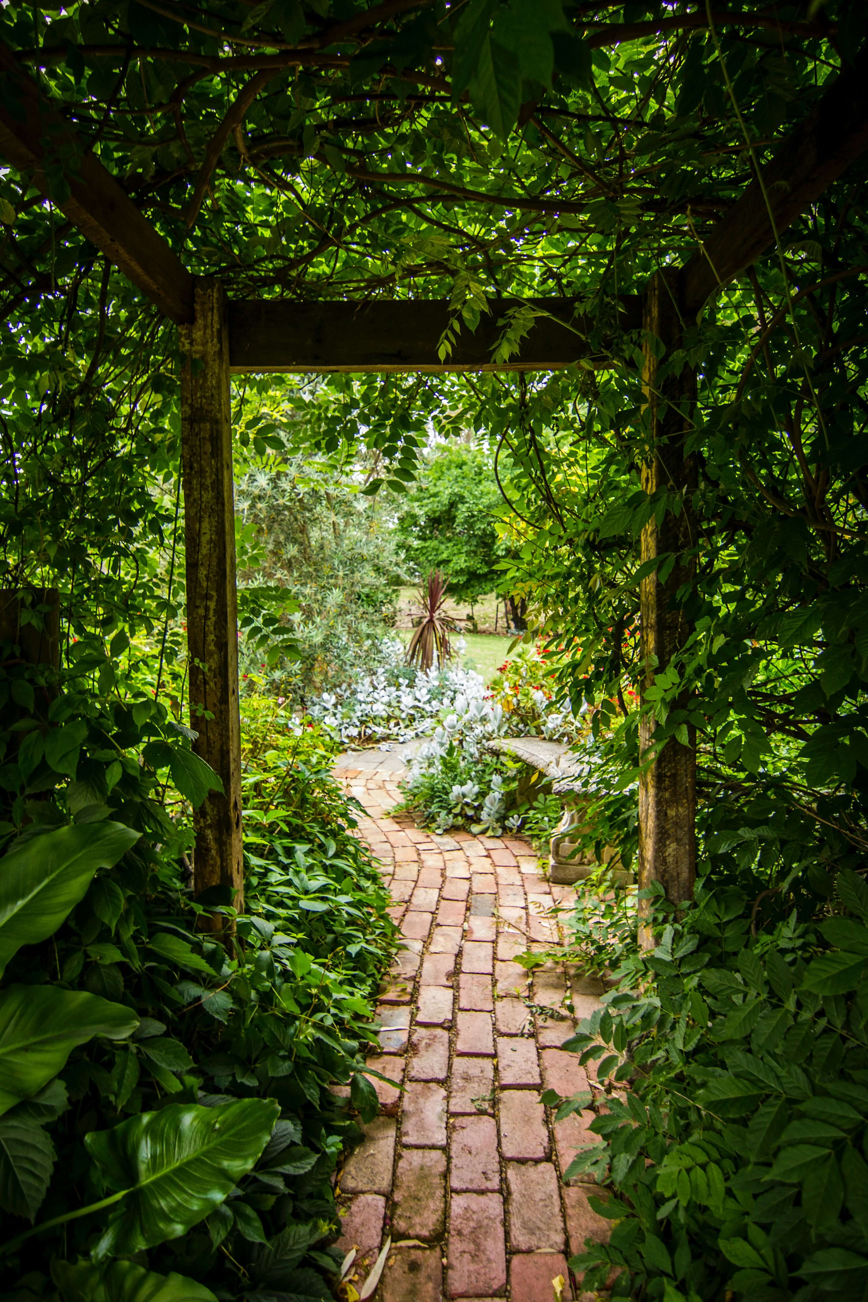 Image of a covered brick pathway with plants.